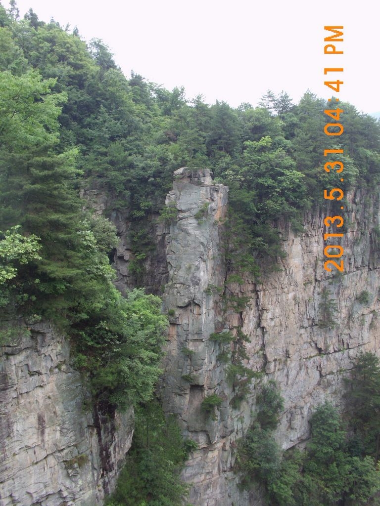 DSCI0274.JPG