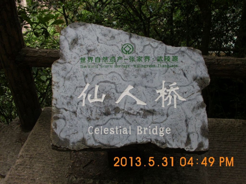 DSCI0285.JPG