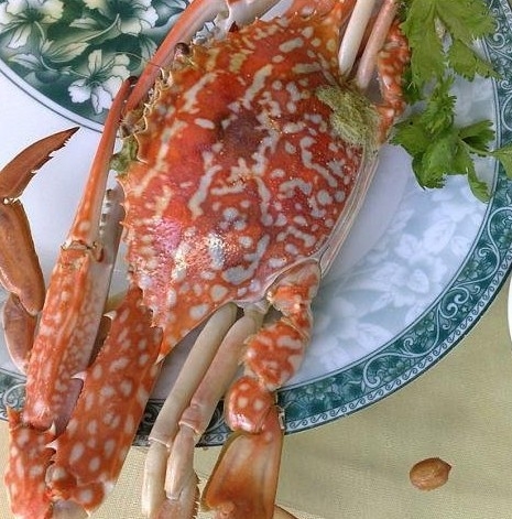 海鲜