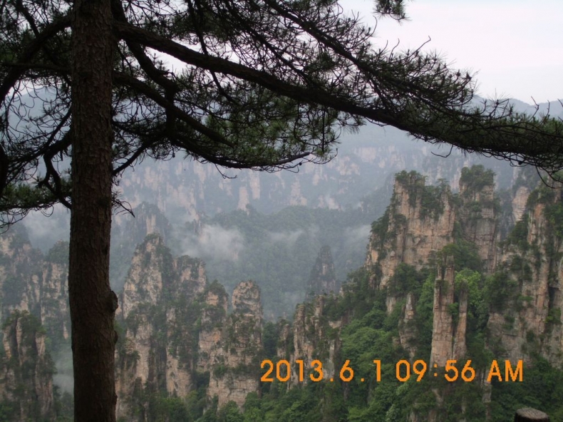 DSCI0428.JPG