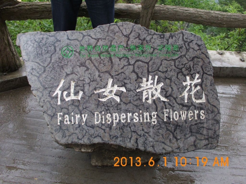 DSCI0463.JPG