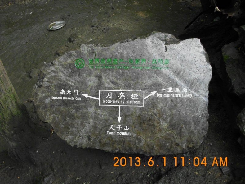 DSCI0517.JPG