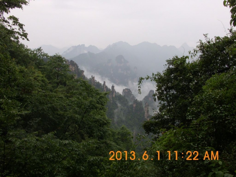 DSCI0528.JPG