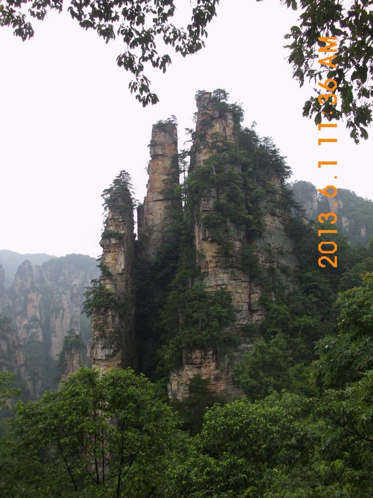 DSCI0540.JPG