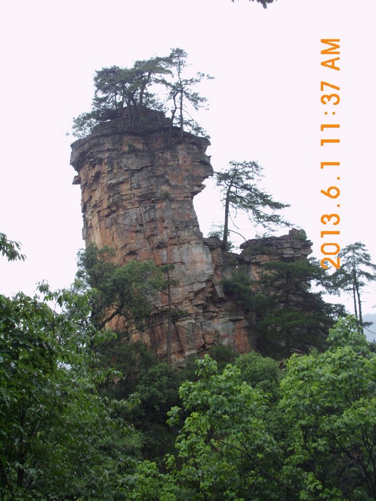 DSCI0543.JPG