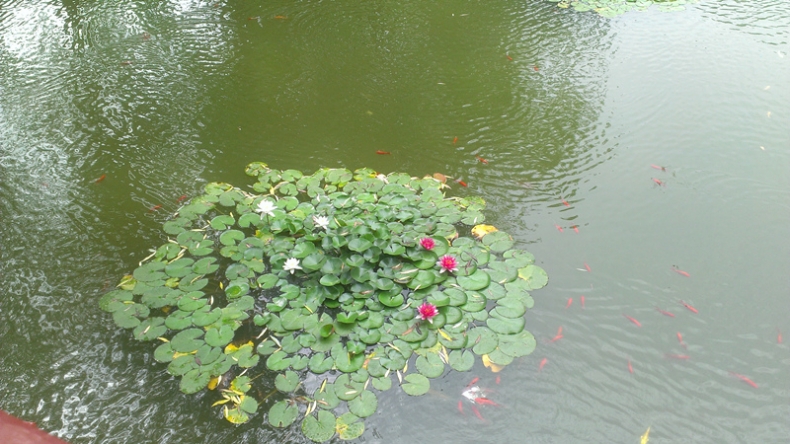 IMAG0042_副本.jpg