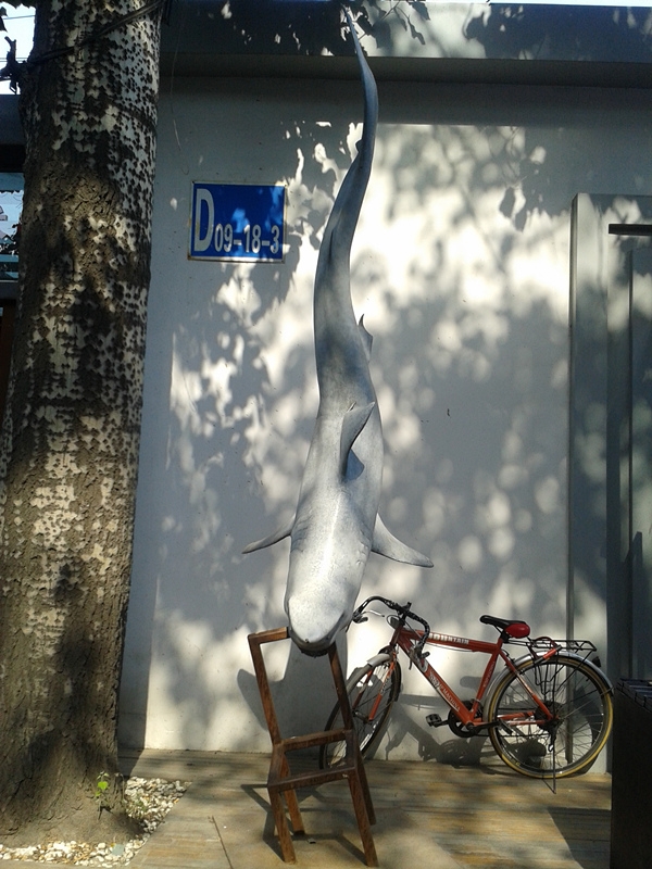 20130720_154632_副本.jpg