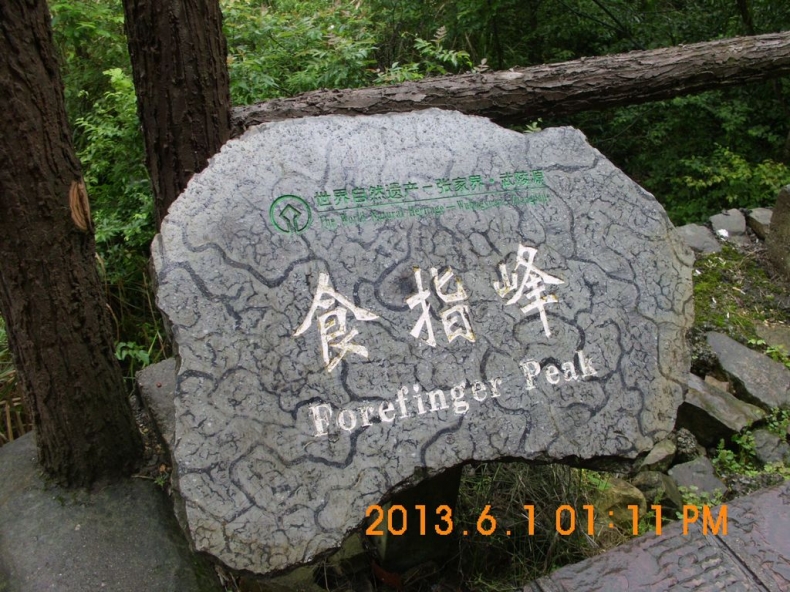 DSCI0629.JPG