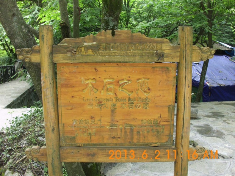 DSCI0791.JPG