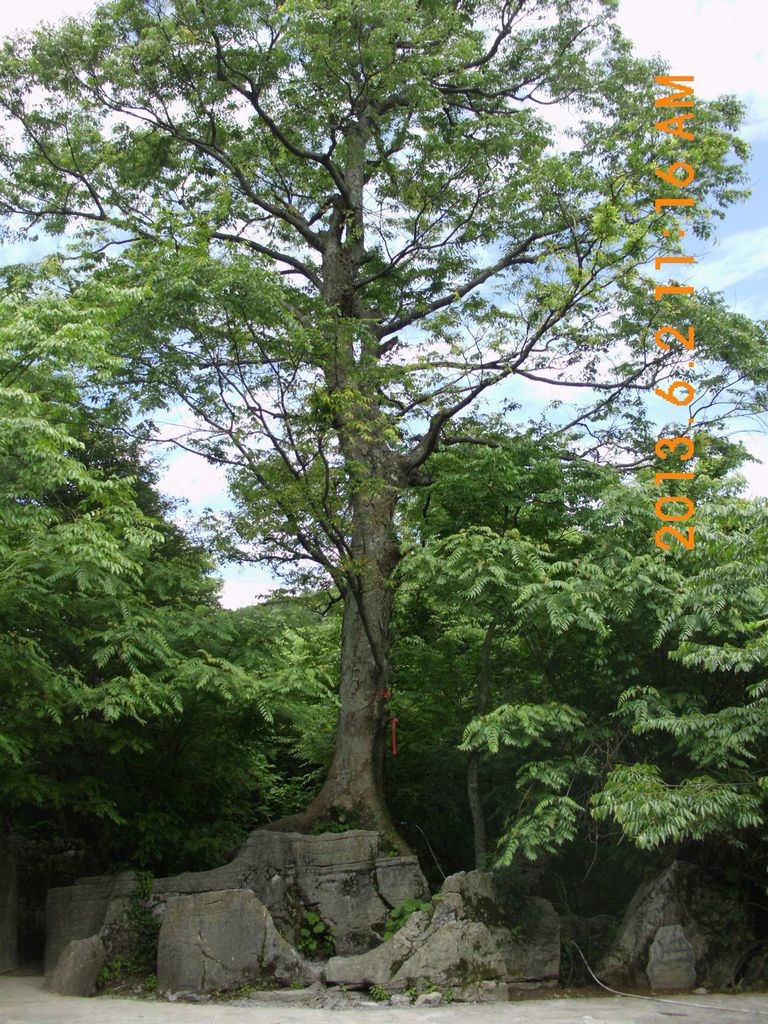 DSCI0792.JPG