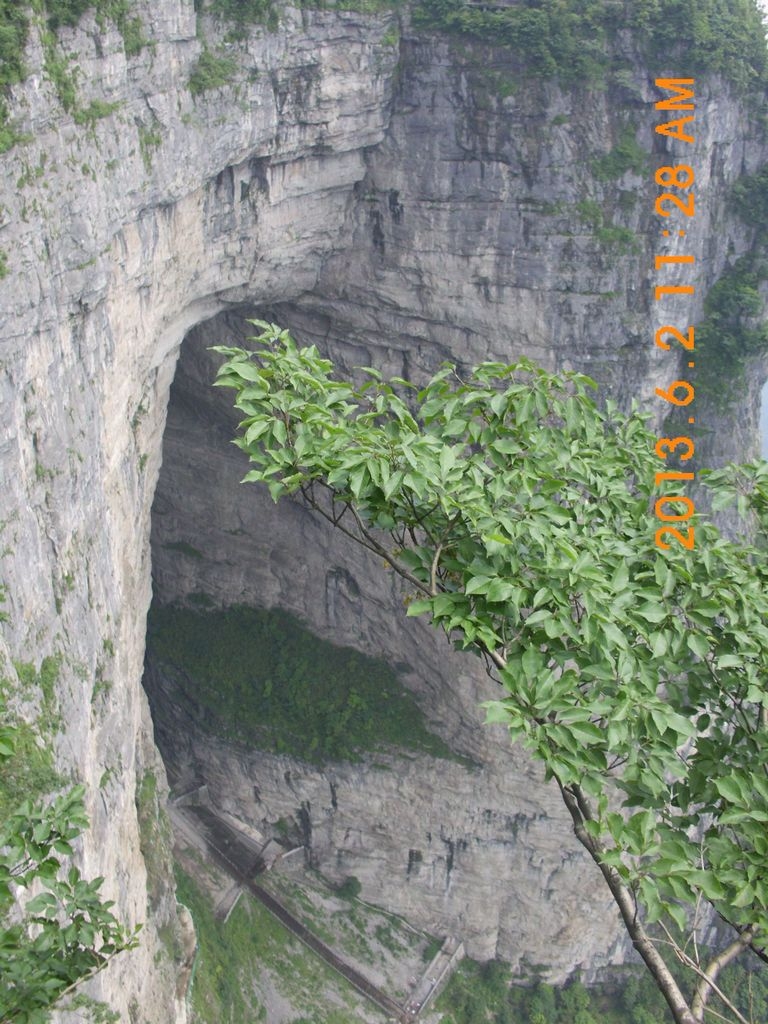 DSCI0801.JPG