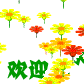 QQ图片20130904140153.gif