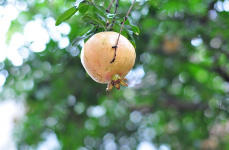 A34[6207U4H{`{PUL7UG8JF.jpg