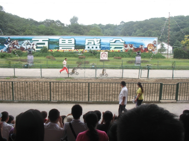 IMG_5254.JPG