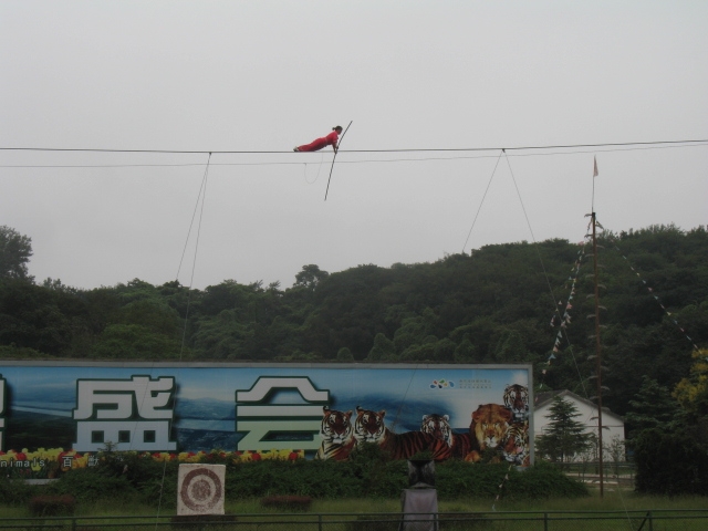 IMG_5266.JPG
