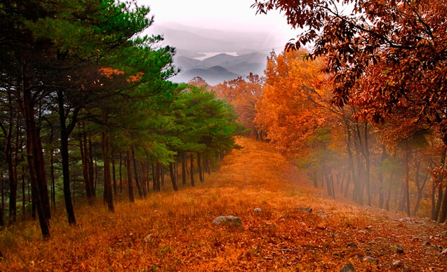 20120118110024.jpg