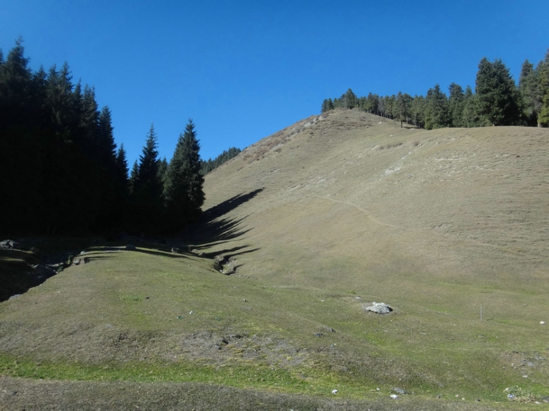 DSC06278.JPG