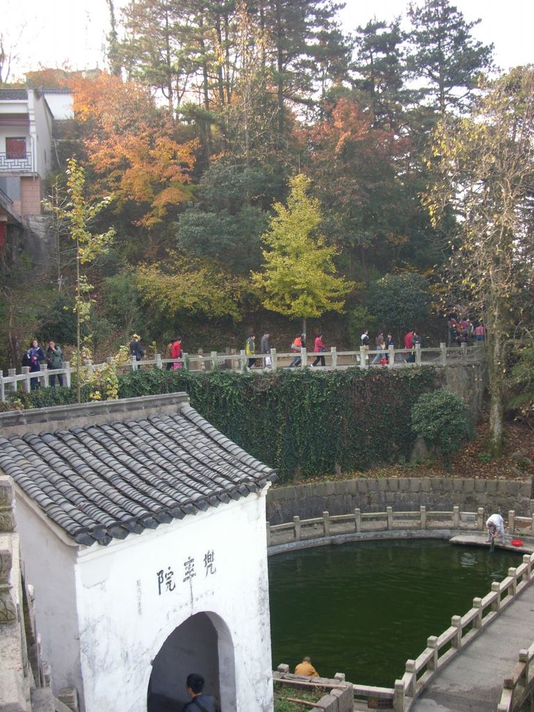 DSCI0291.JPG