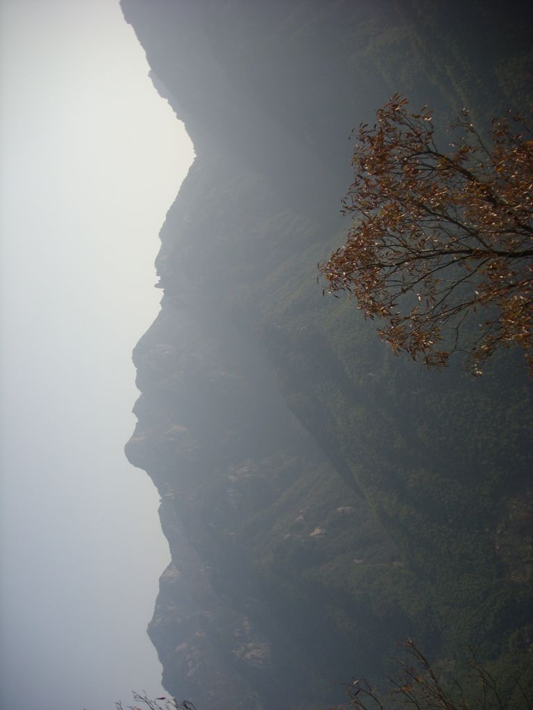 DSCI0319.JPG