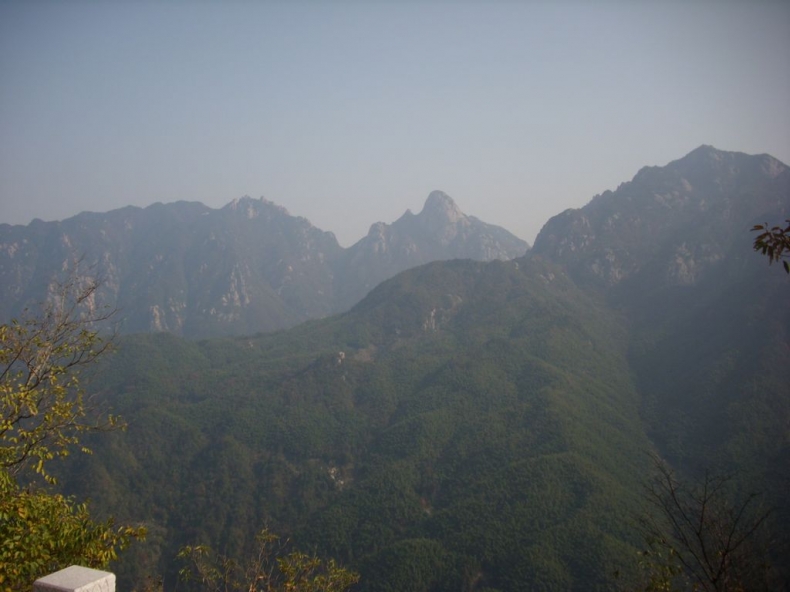 DSCI0320.JPG