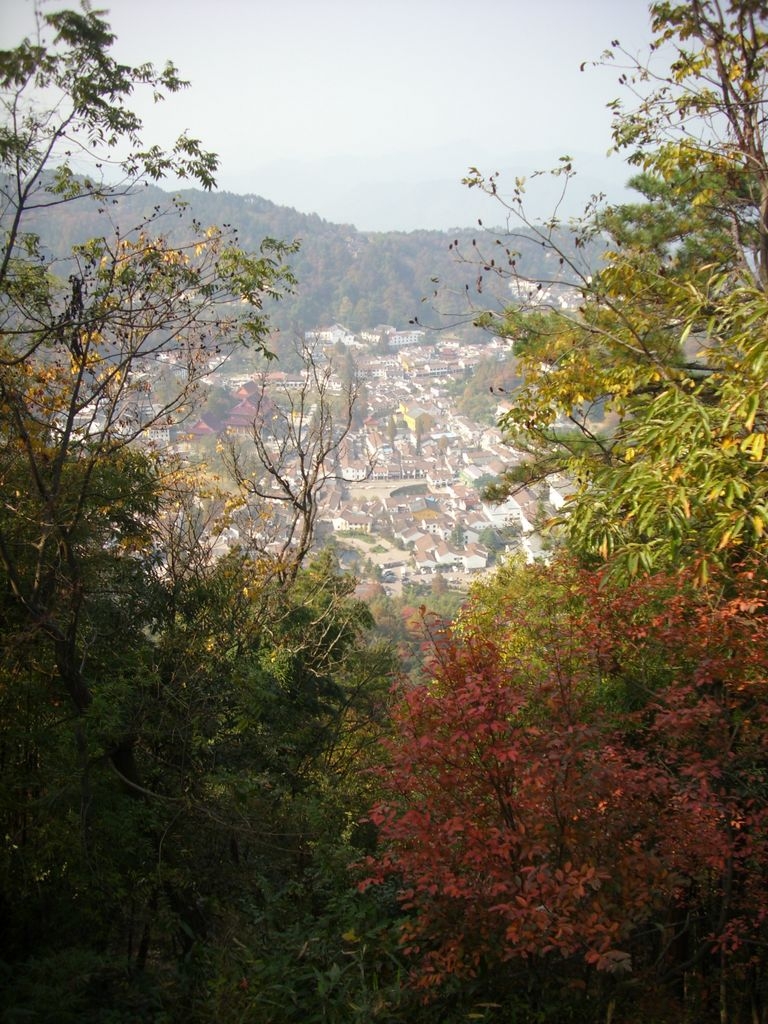 DSCI0323.JPG