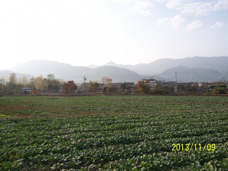 100_9405.JPG
