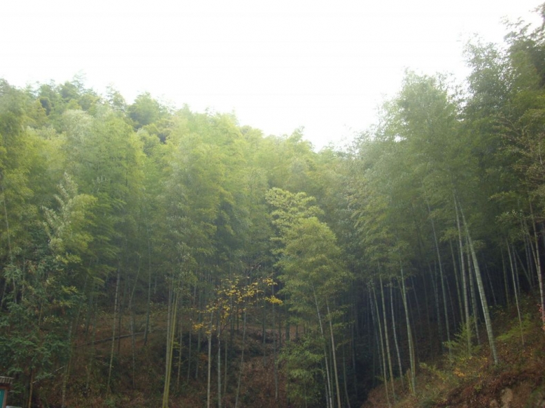DSCI0872.JPG