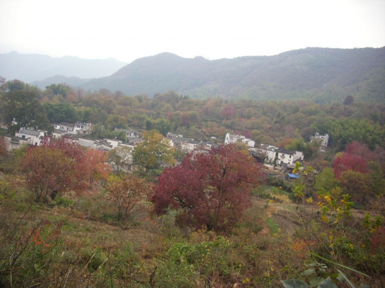 DSCI0933.JPG