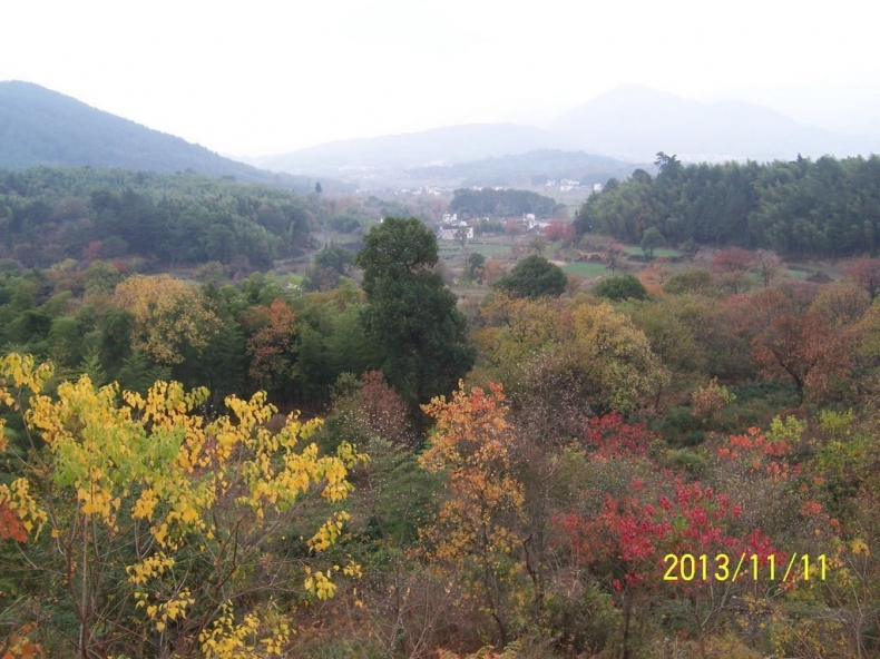 100_9742.JPG