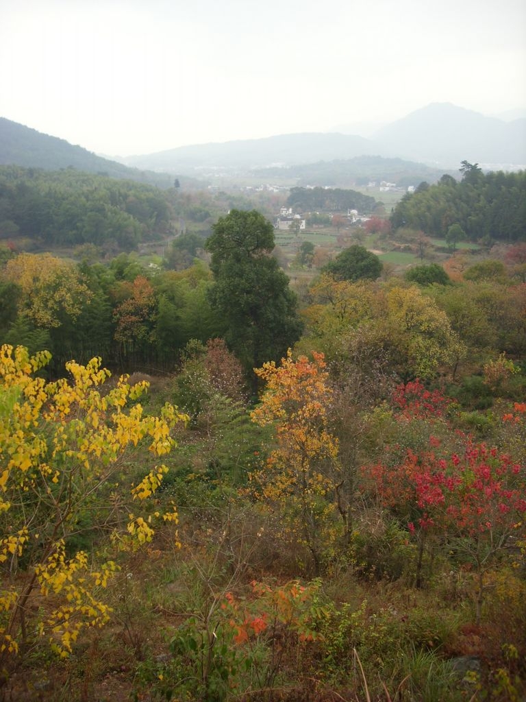DSCI0922.JPG
