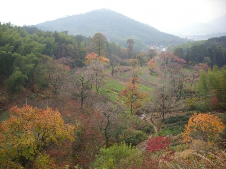 DSCI0915.JPG
