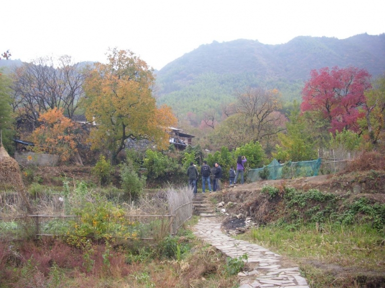 DSCI0972.JPG