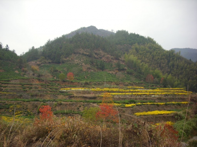 DSCI0990.JPG