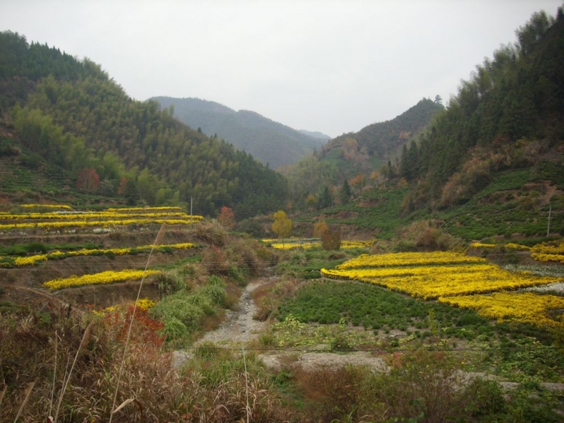 DSCI0991.JPG