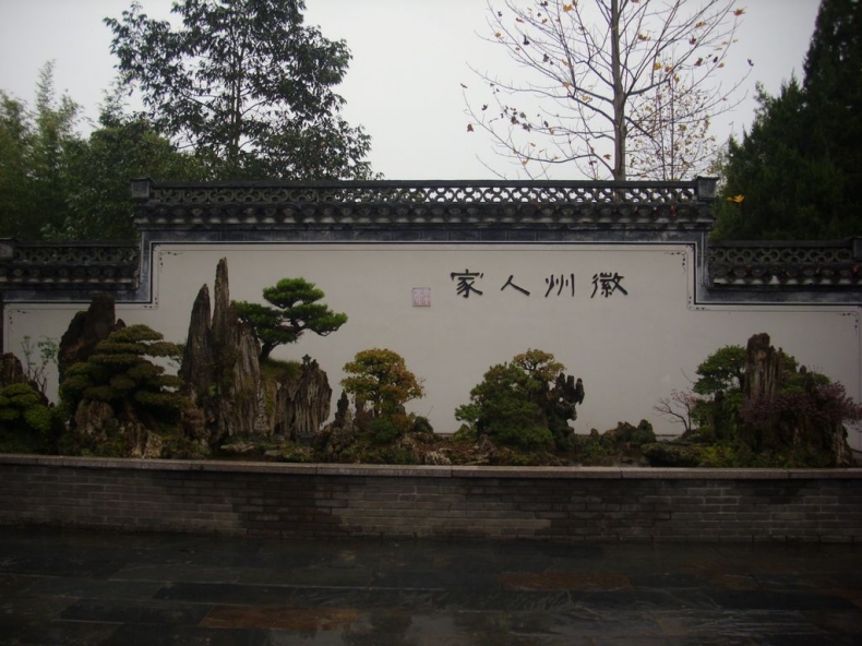 DSCI1038.JPG