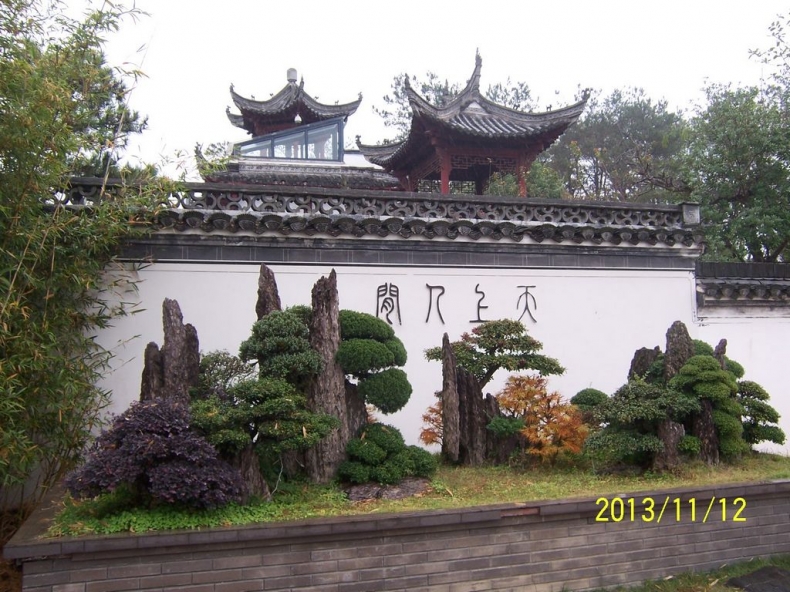 100_9823.JPG