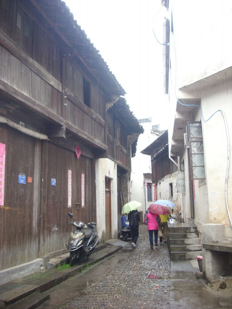 DSCI1099.JPG
