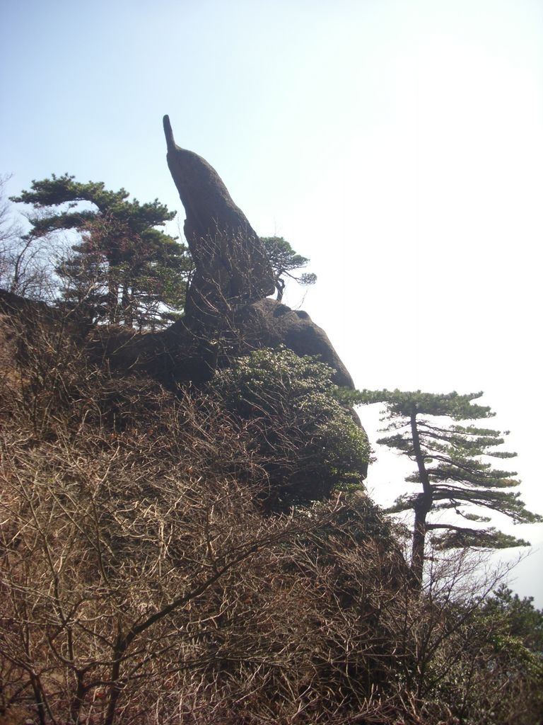 DSCI1379.JPG