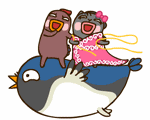 飞鸟.gif