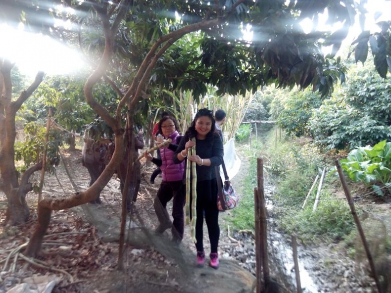 IMG_20131224_161052.jpg
