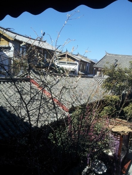 岁月.jpg