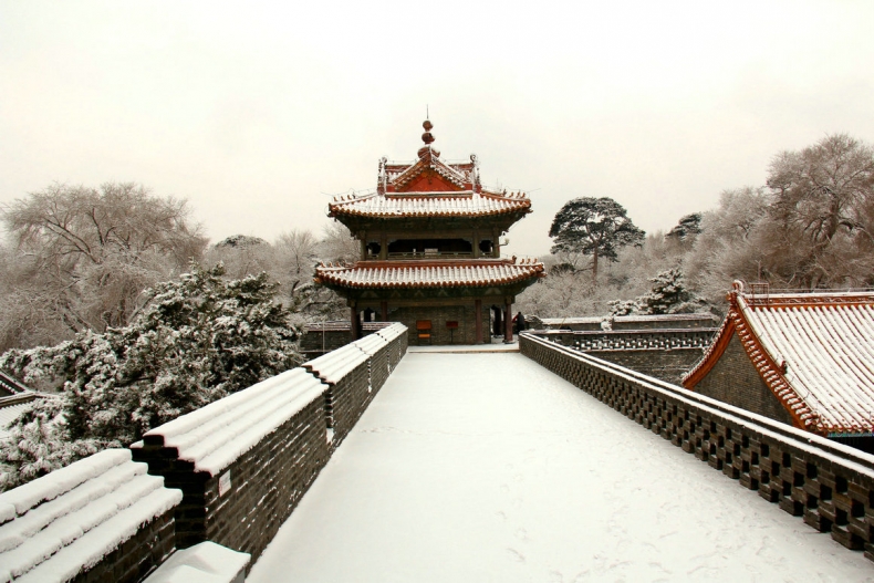 IMG_8018_副本.JPG