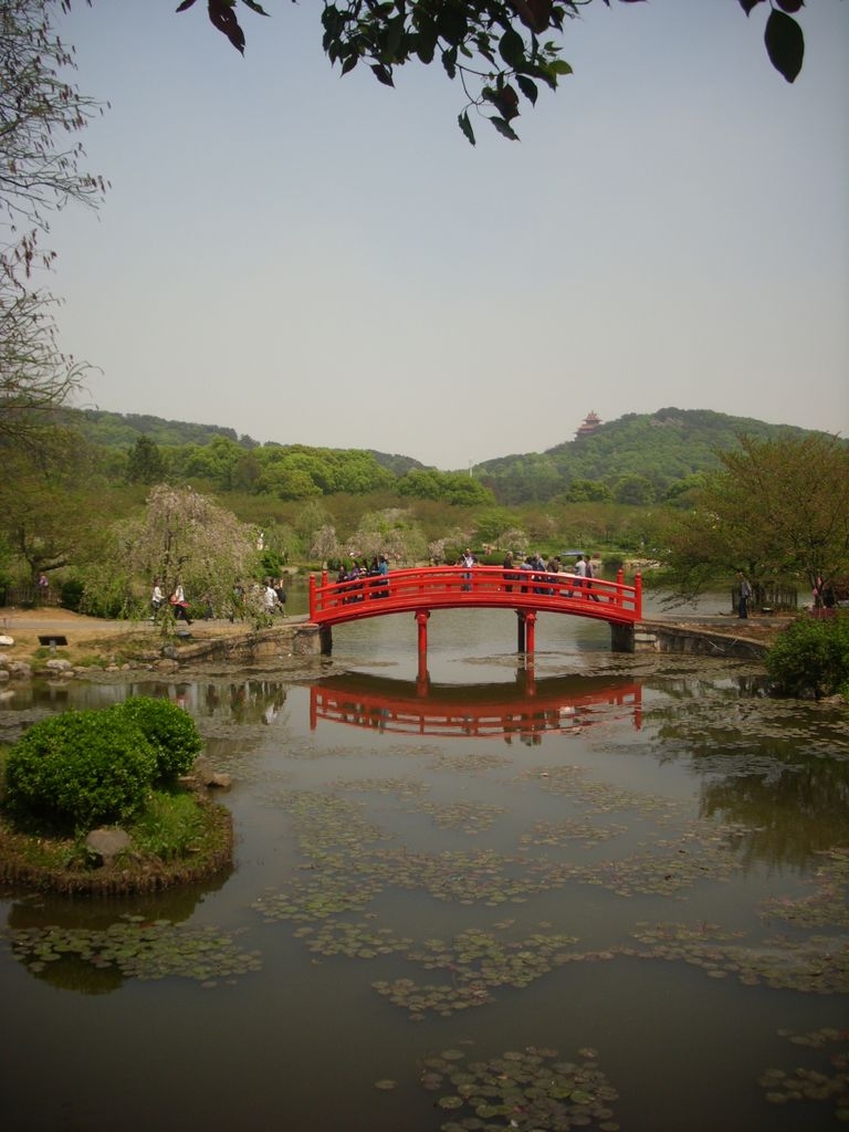 DSCI0048.JPG