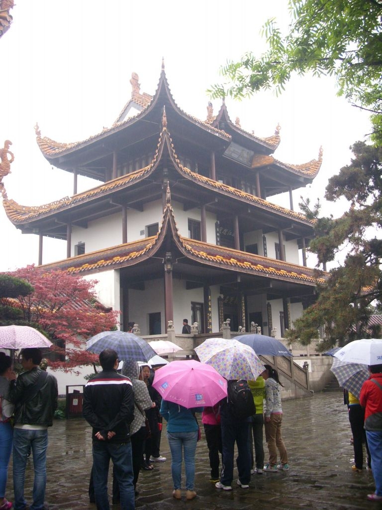 DSCI0223.JPG