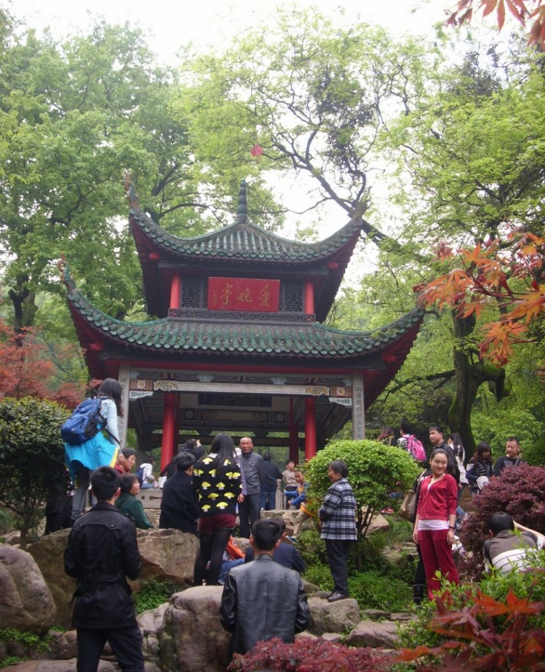 DSCI0271.JPG