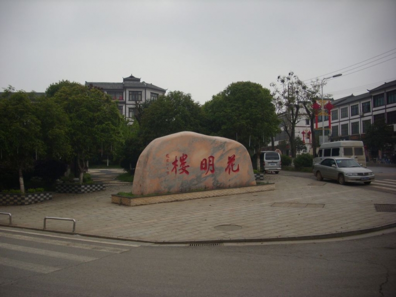 DSCI0353.JPG