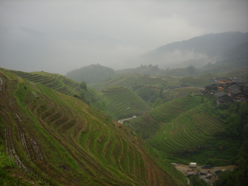DSCI0977.JPG