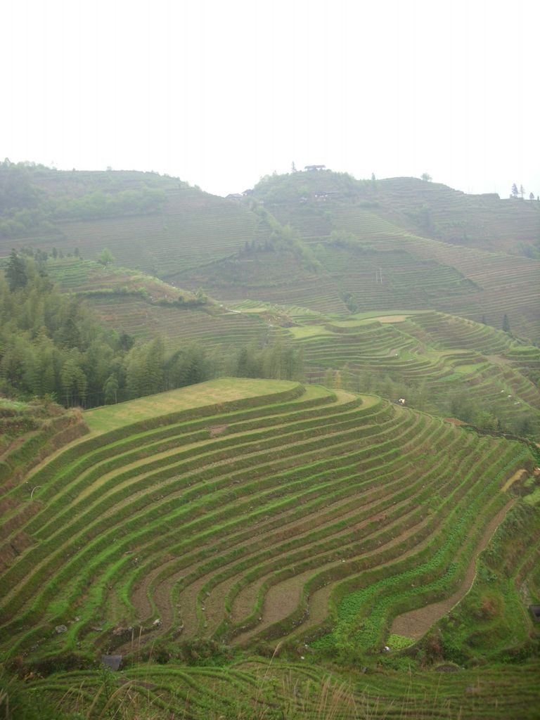 DSCI1049.JPG