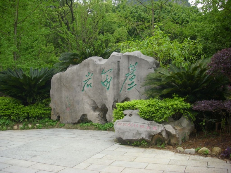 DSCI0748.JPG