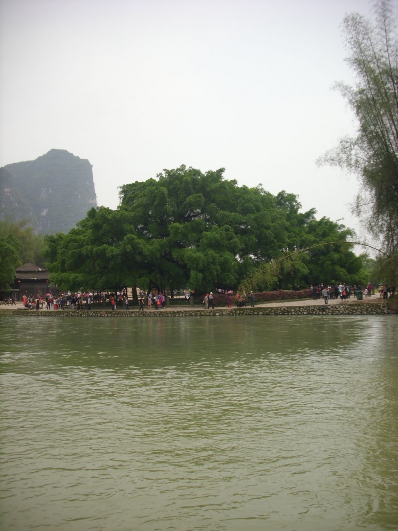 DSCI0818.JPG